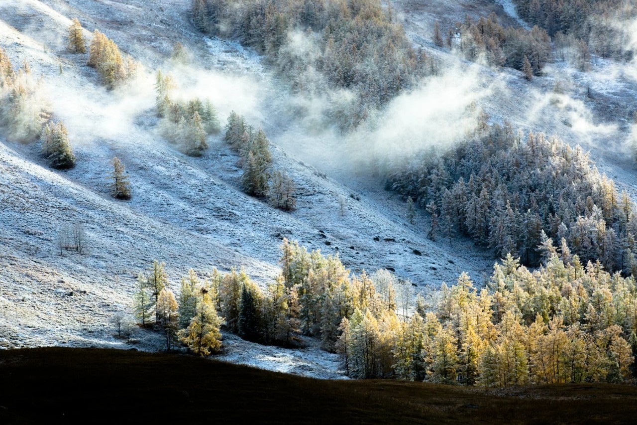 新疆，秘境之美与无限商机探索