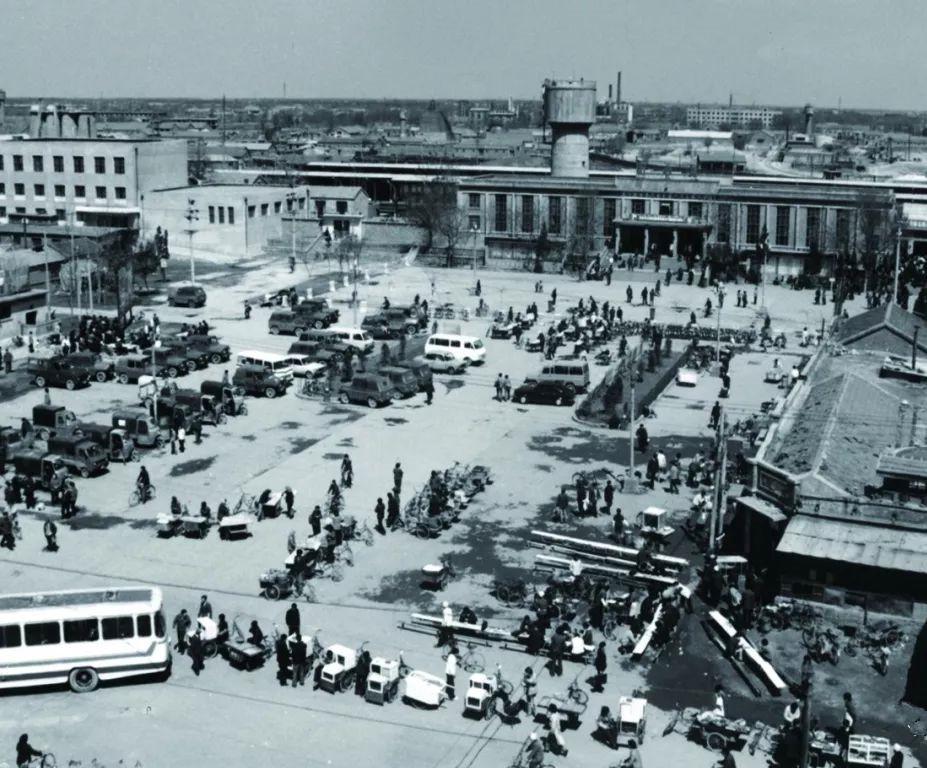 衡水盛会，嘉宾云集，共襄盛举